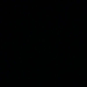 Meet your Posher, Billy